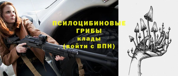 ГАЛЛЮЦИНОГЕННЫЕ ГРИБЫ Богородск