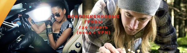 ГАЛЛЮЦИНОГЕННЫЕ ГРИБЫ Богородск