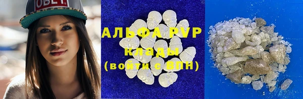 spice Богданович