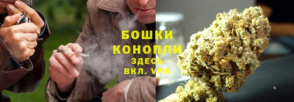 ALPHA PVP Бородино