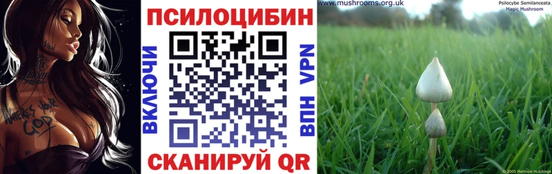 МЕГА ссылки  Ростов-на-Дону  Псилоцибиновые грибы Magic Shrooms 